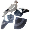 FLOCKED WOOD PIGEON MOULD