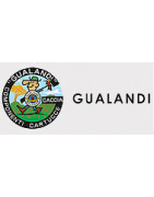 - - - Gualandi - - -