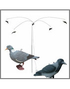 LOCKVÖGEL UND JAGDKARUSSELL